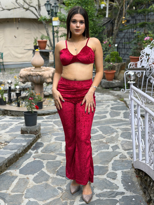 TANDUL Women Equisite Red Velvet Co-ord Set