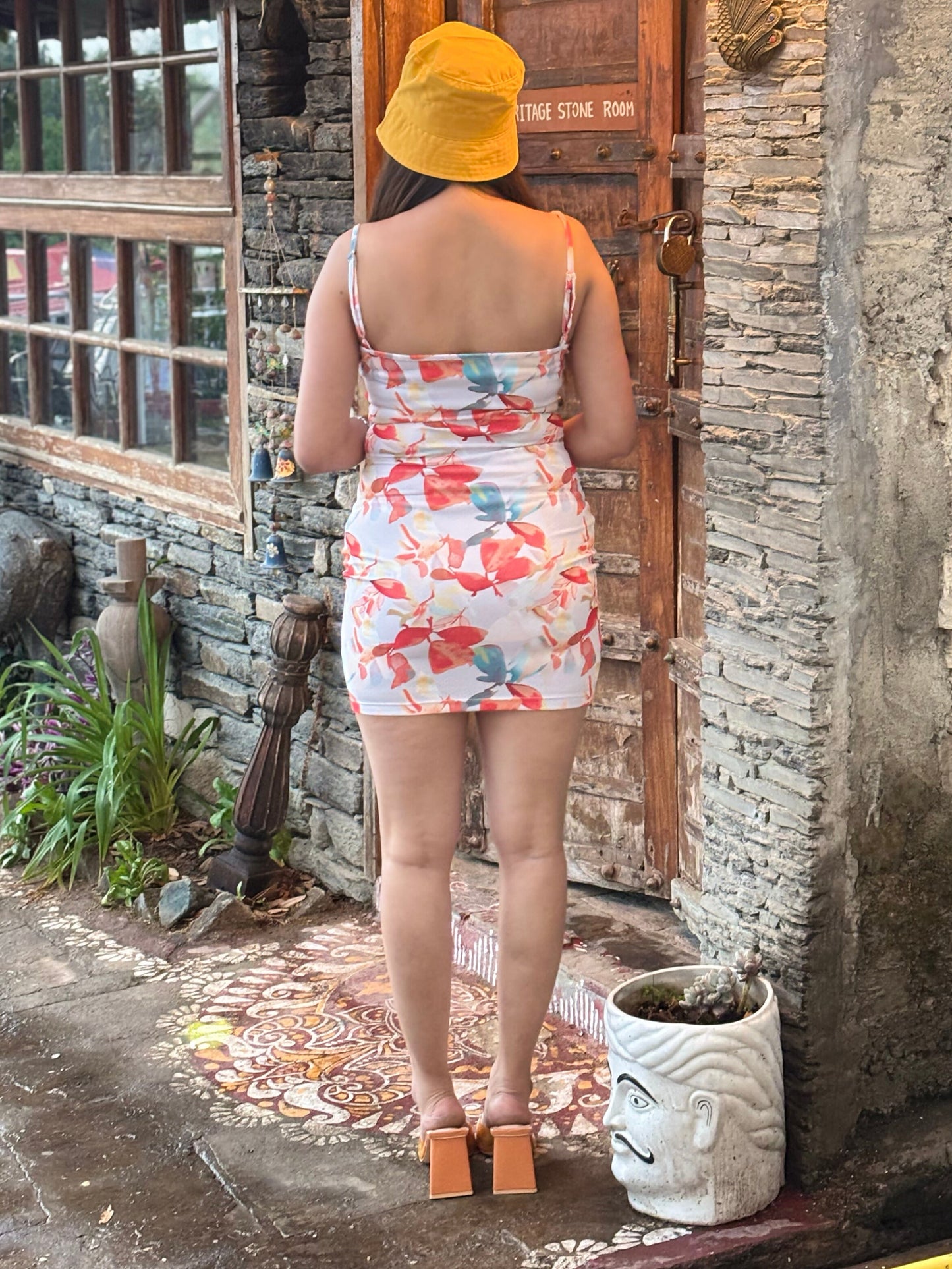 Women Bodycon Multicolor Dress