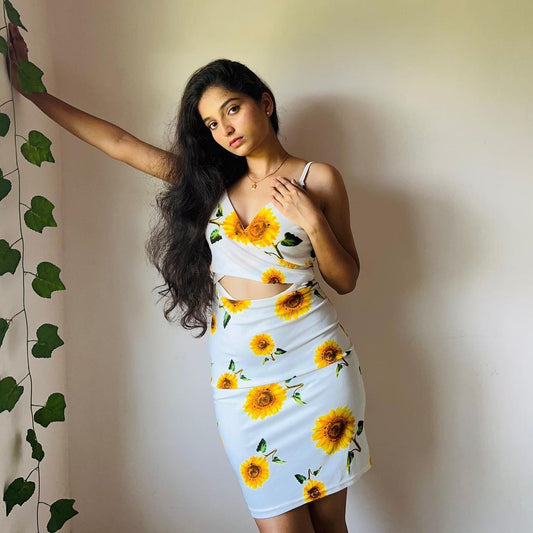 Women Bodycon Multicolor Dress