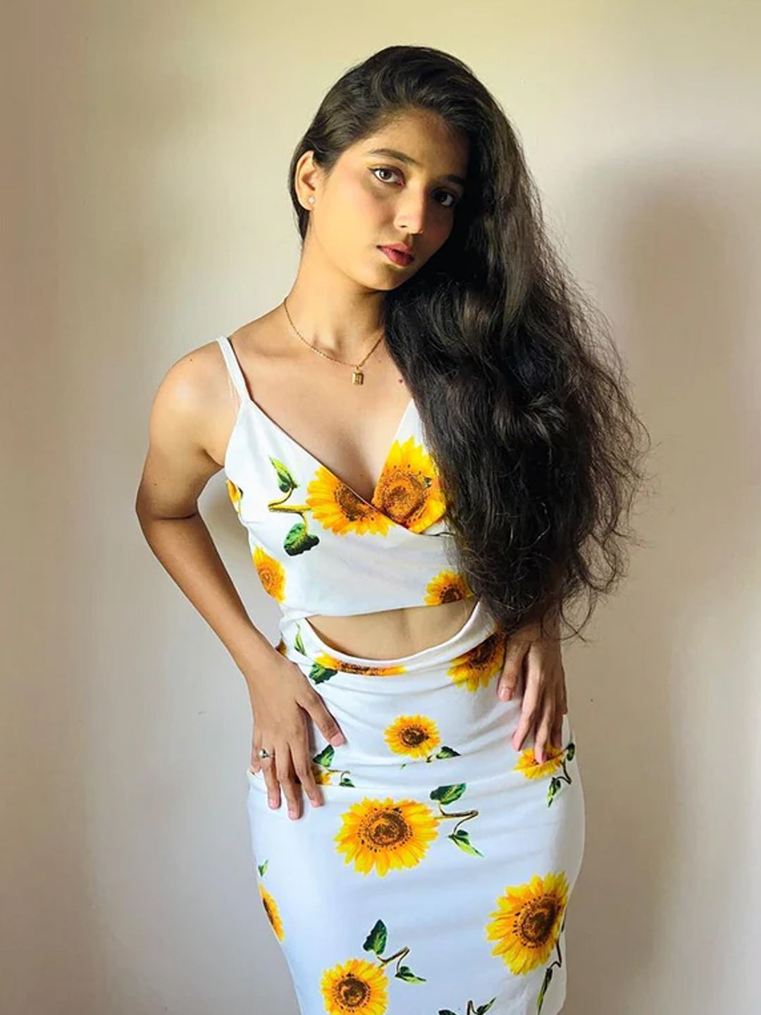 Women Bodycon Multicolor Dress