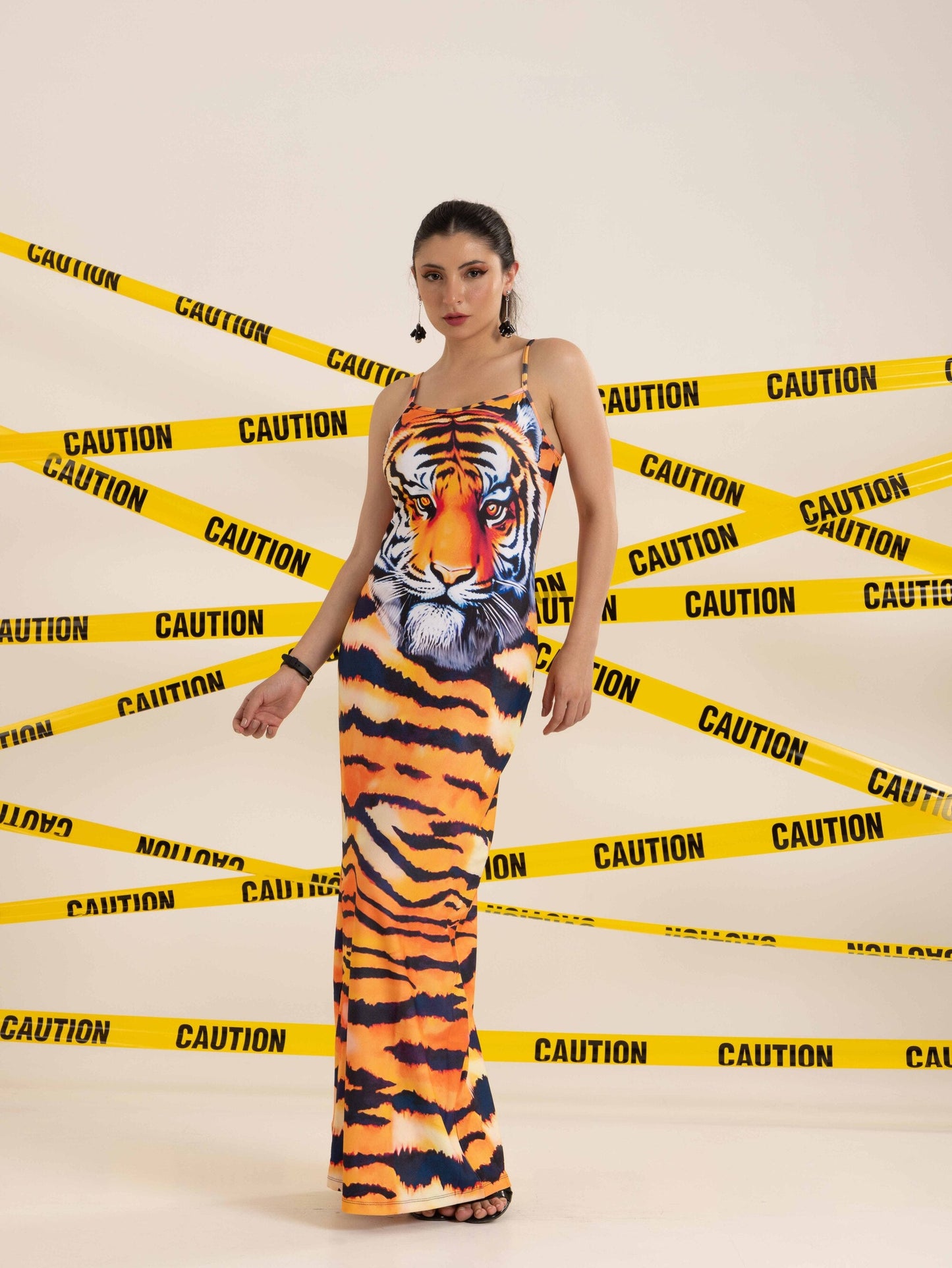 TANDUL  Women Maxi Multicolor Dress