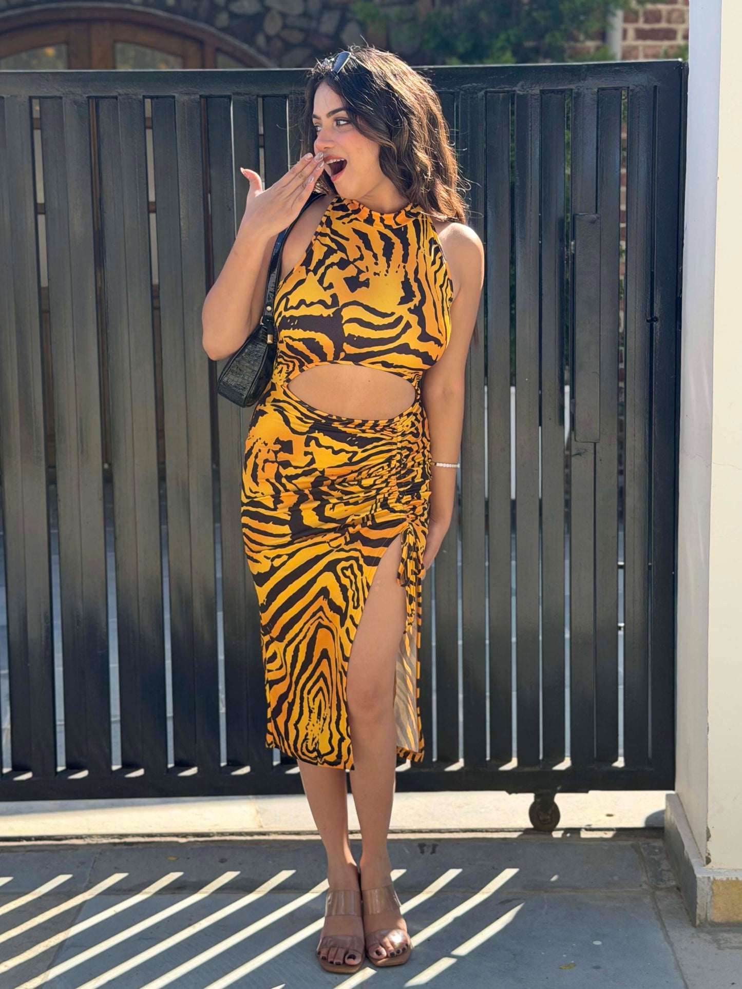 TANDUL Women Bold Tiger Printed Dress