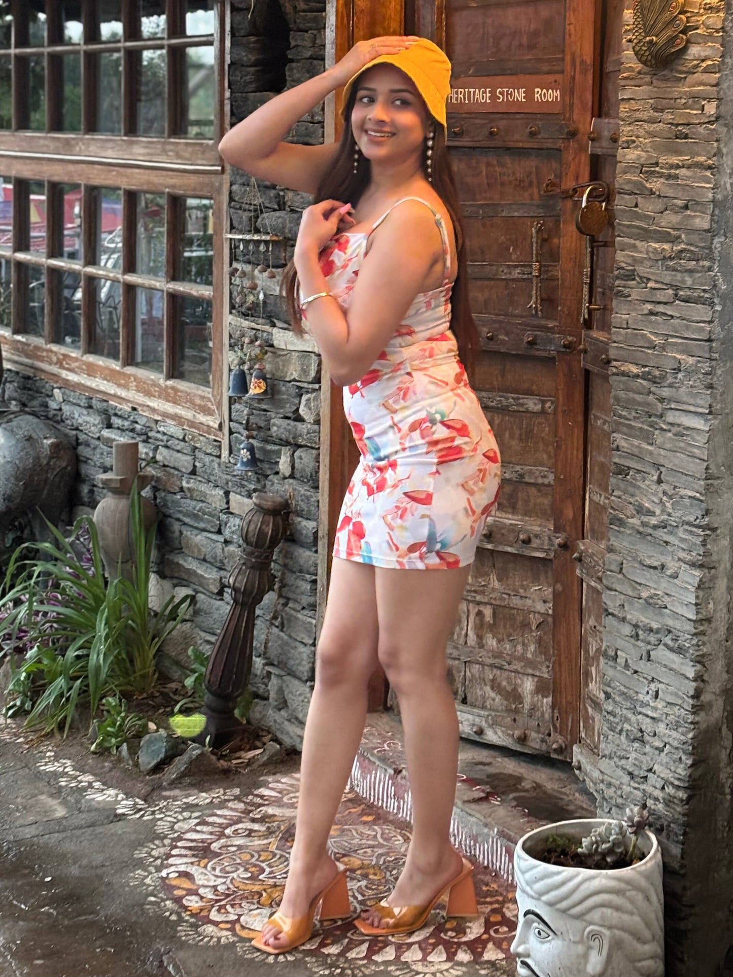 Women Bodycon Multicolor Dress