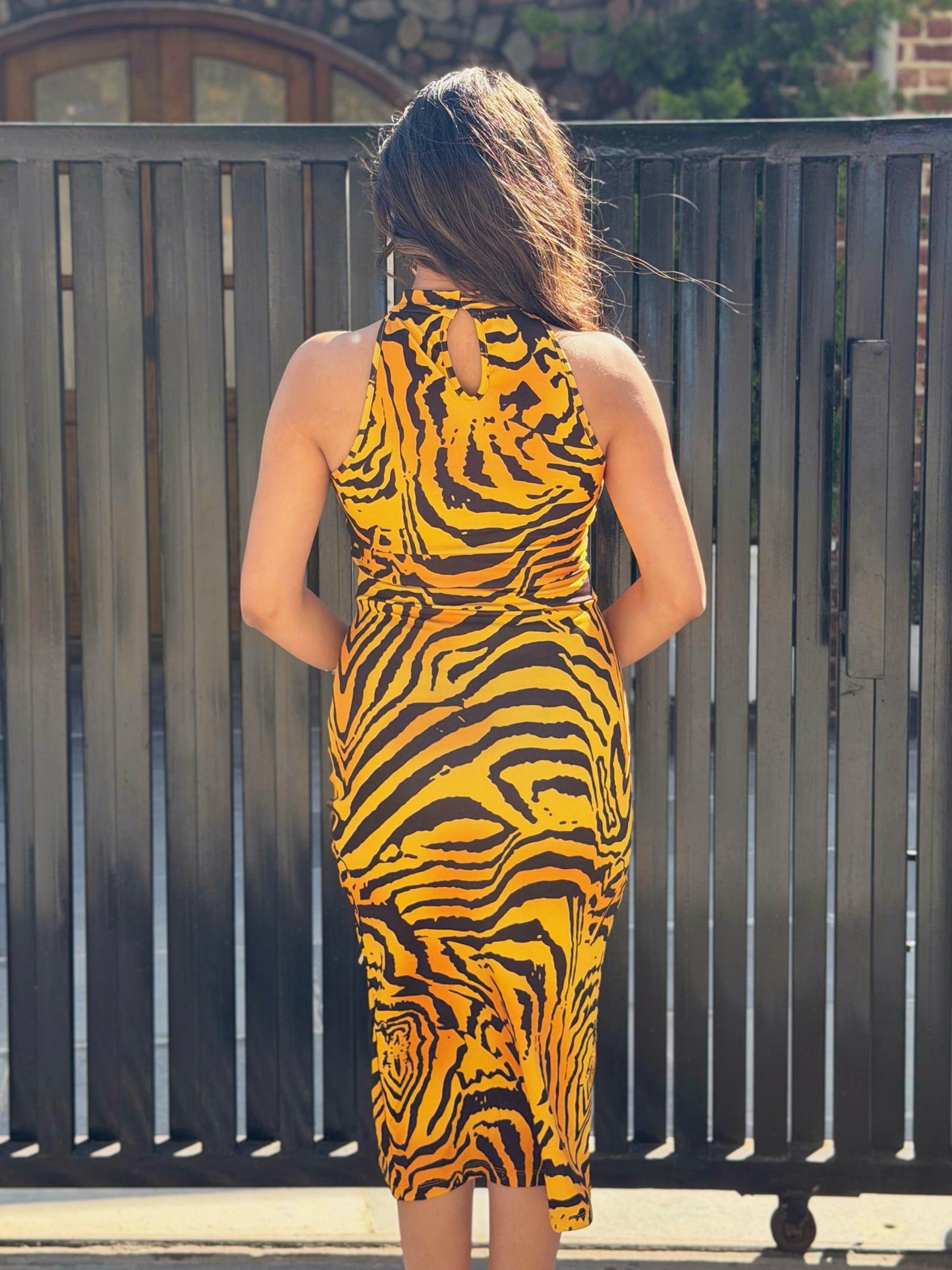 TANDUL Women Bold Tiger Printed Dress