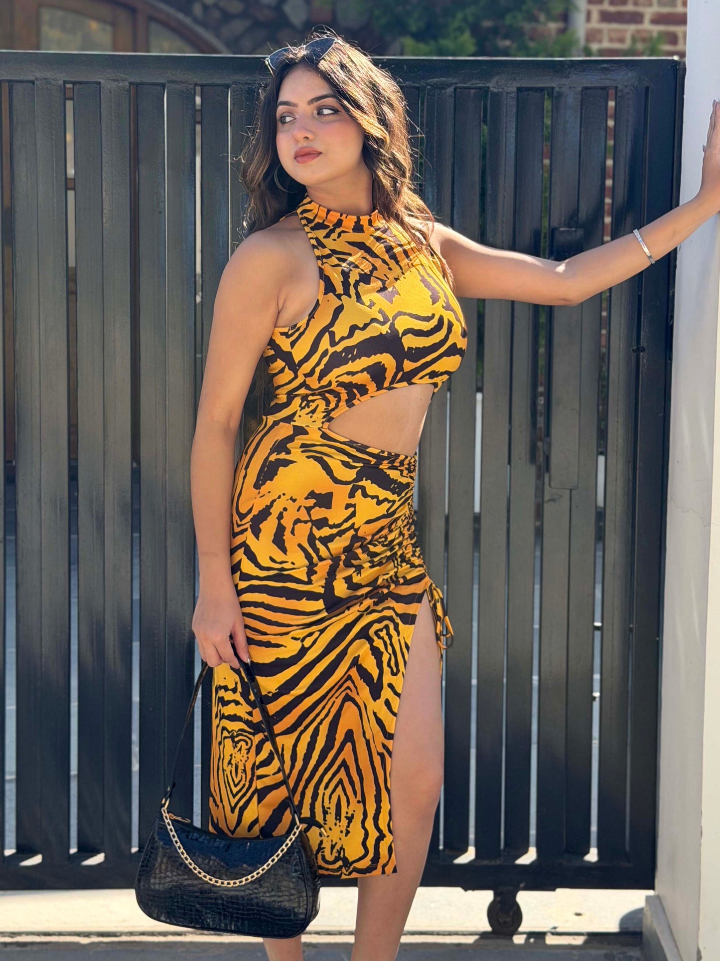 TANDUL Women Bold Tiger Printed Dress
