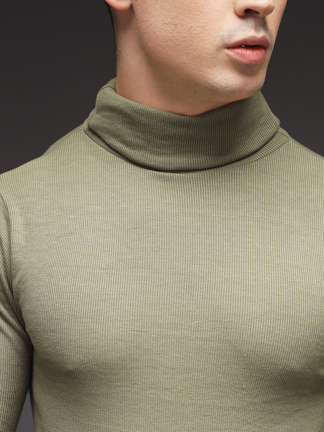 TANDUL Men Solid Turtle Neck Green Sweater