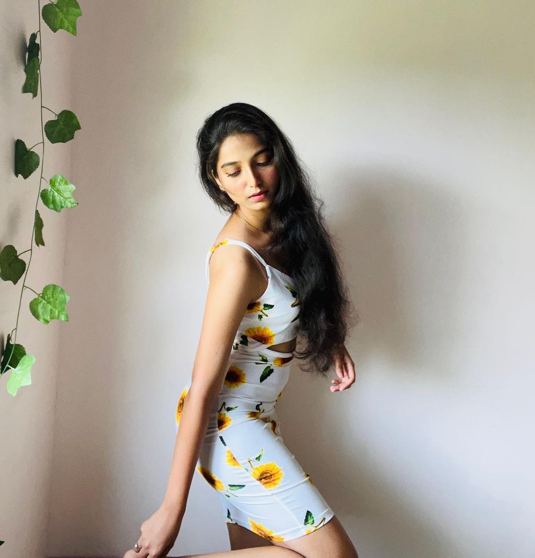 Women Bodycon Multicolor Dress