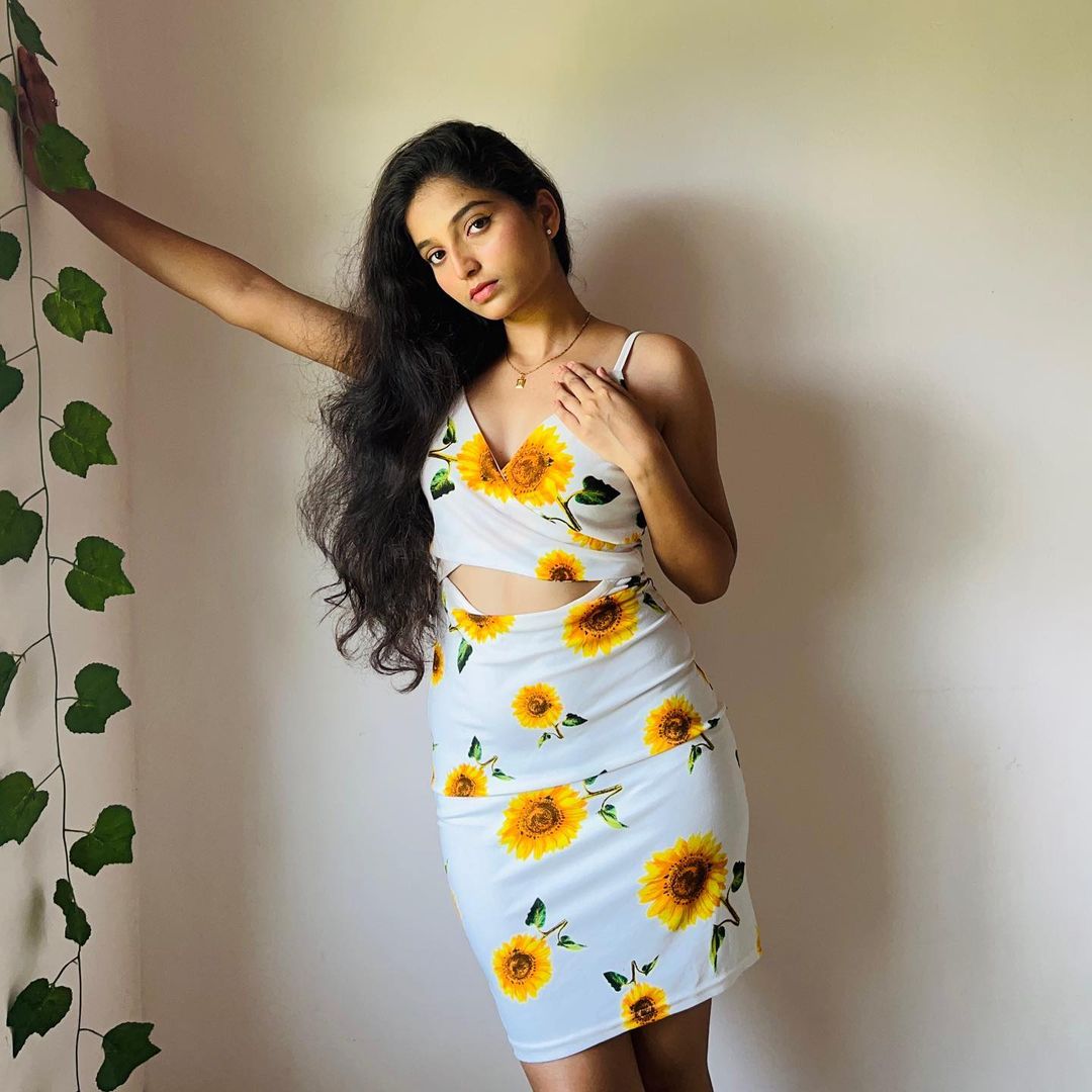 Women Bodycon Multicolor Dress