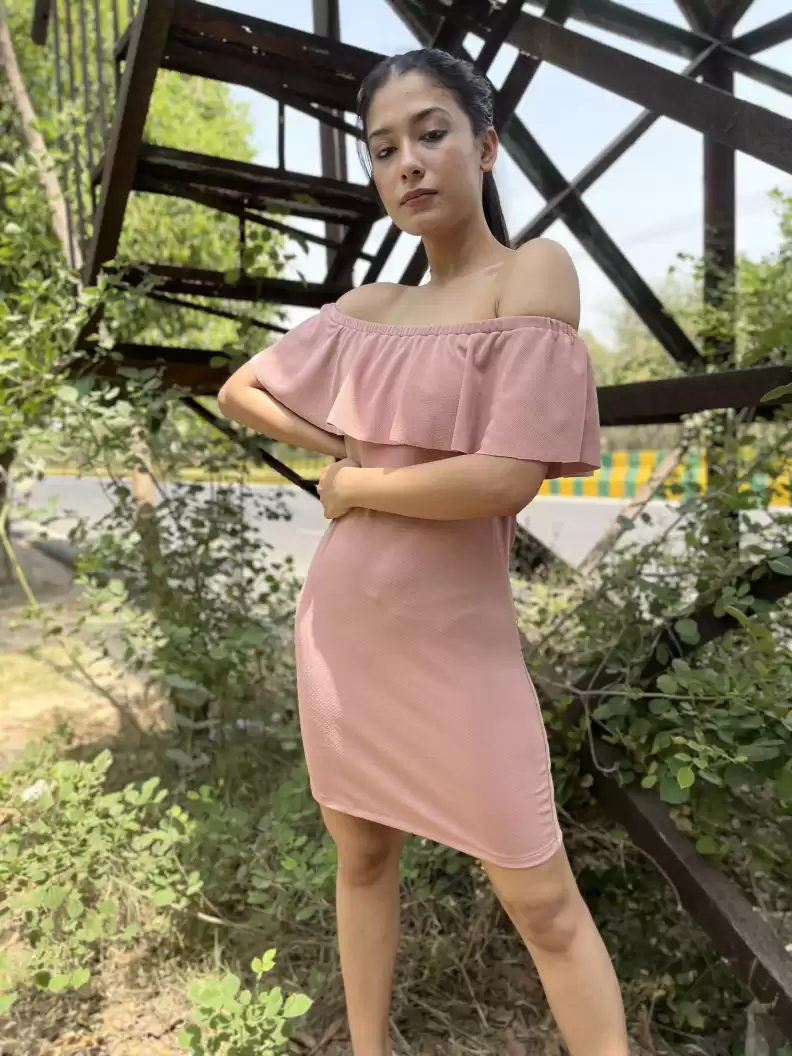 TANDUL  Women Bodycon Pink Dress